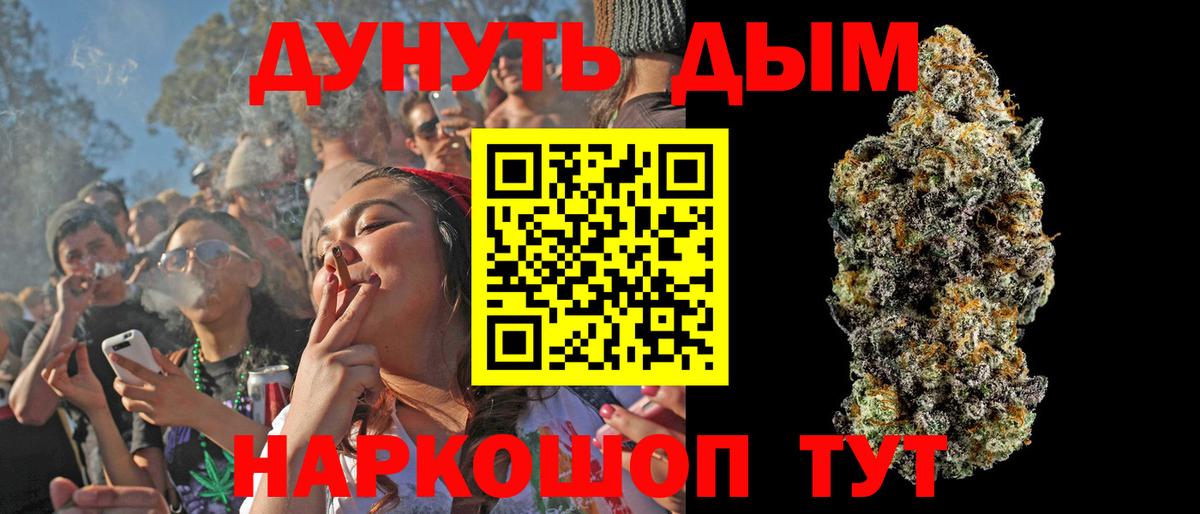 Бошки Шишки ГИДРОПОН  Вход с VPN  Видное  Каннабис план 